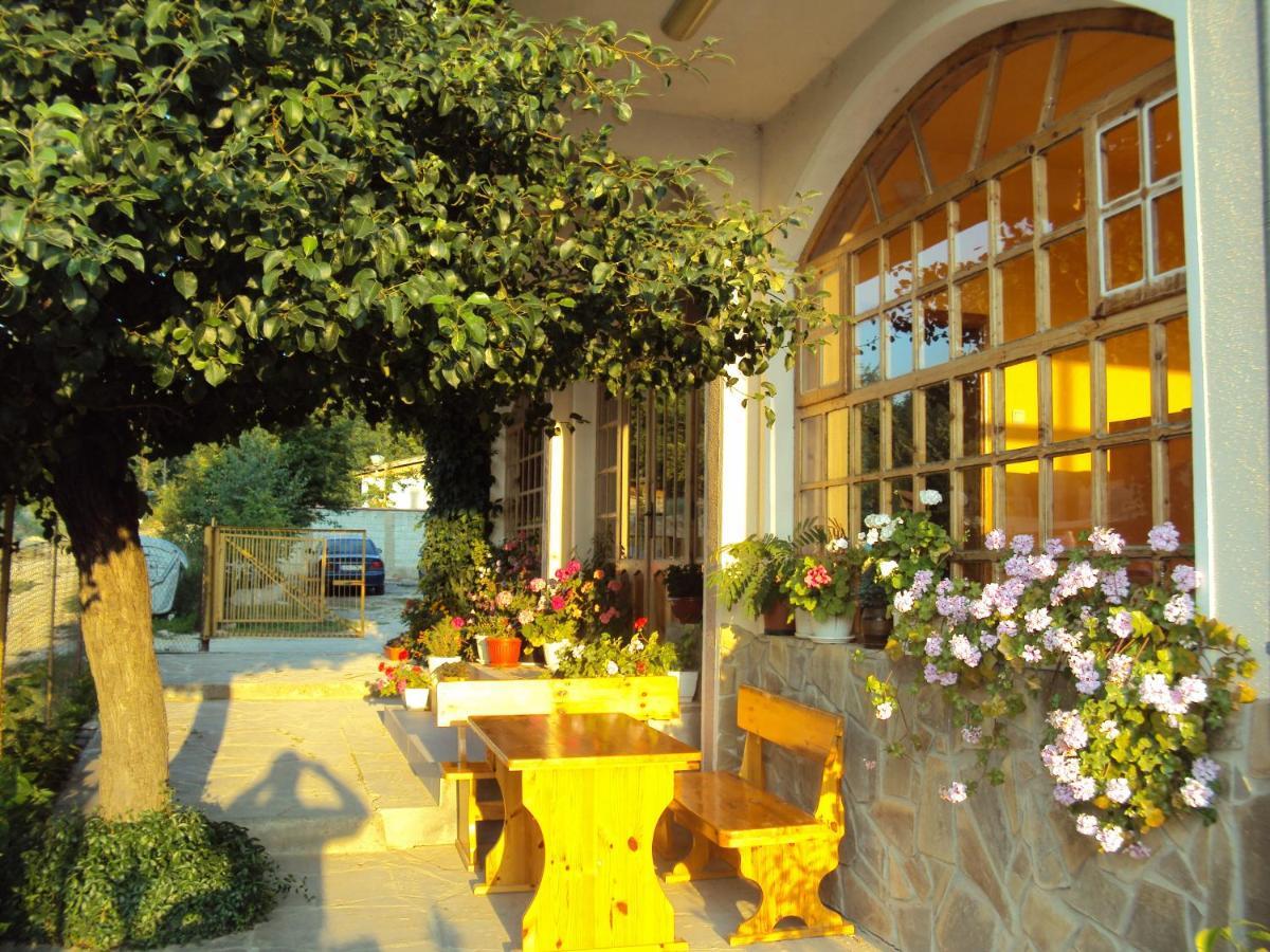 Amfora Guest House Byala  Dış mekan fotoğraf